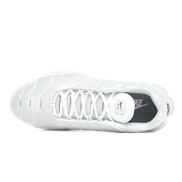 Nike Air Max Plus 604133-139