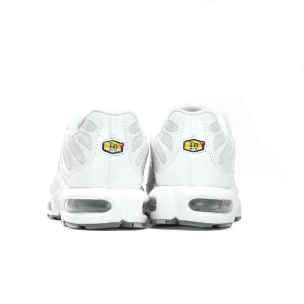 Nike Air Max Plus 604133-139