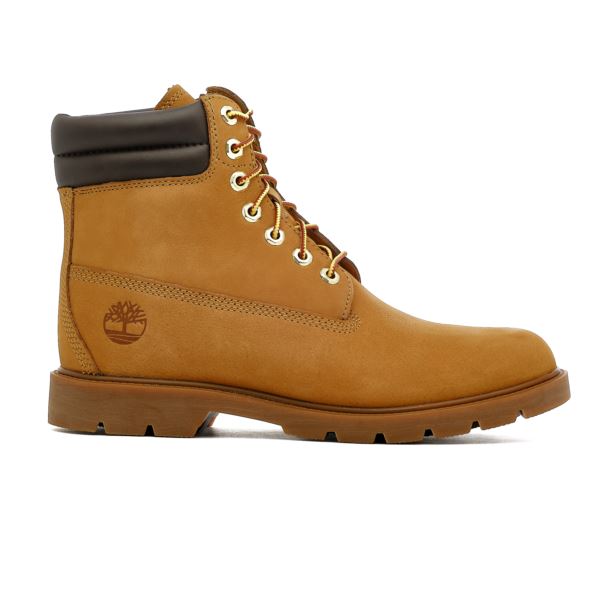 Timberland 6in TB0A27TP2311