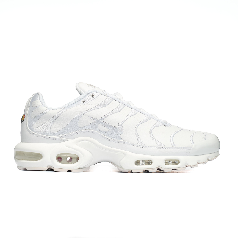 NIKE AIR MAX PLUS AJ2029-100