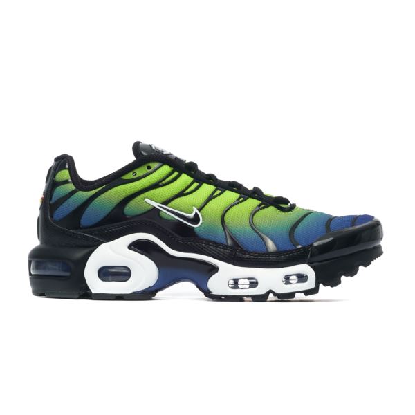 Nike AIR MAX PLUS GS HF0093-400