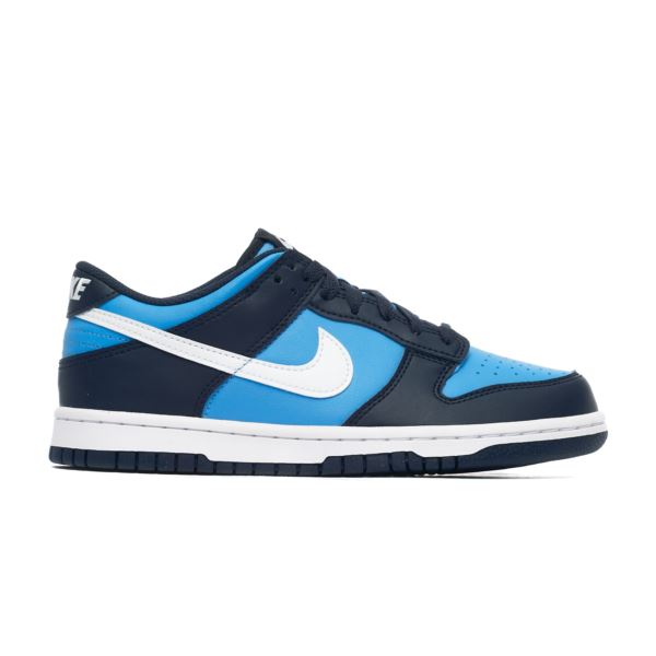 Nike DUNK LOW GS HF0031-400