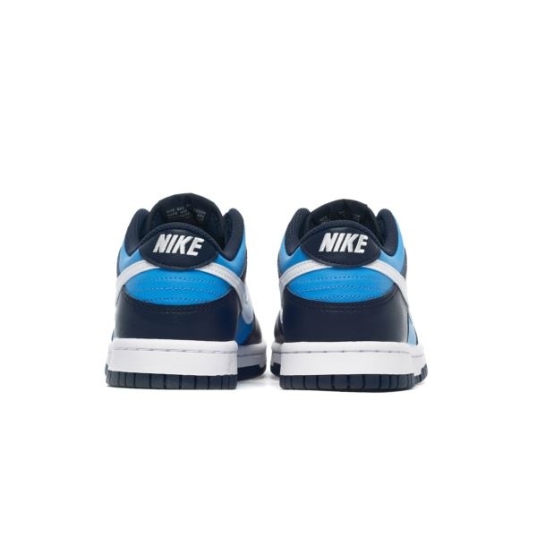 Nike DUNK LOW GS HF0031-400