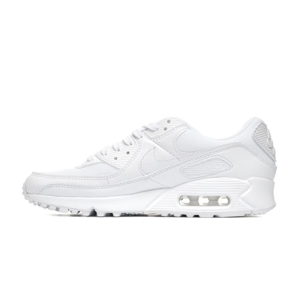 Nike Air Max 90 Women's DH8010-100