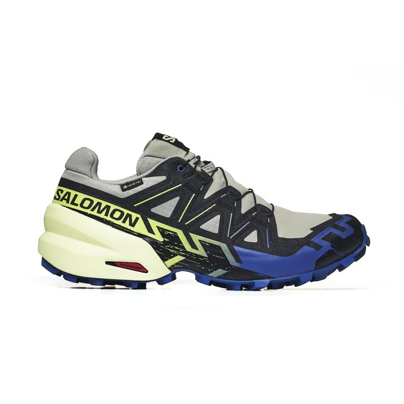 Salomon SPEEDCROSS 6 GTX WROUGHT L47584000