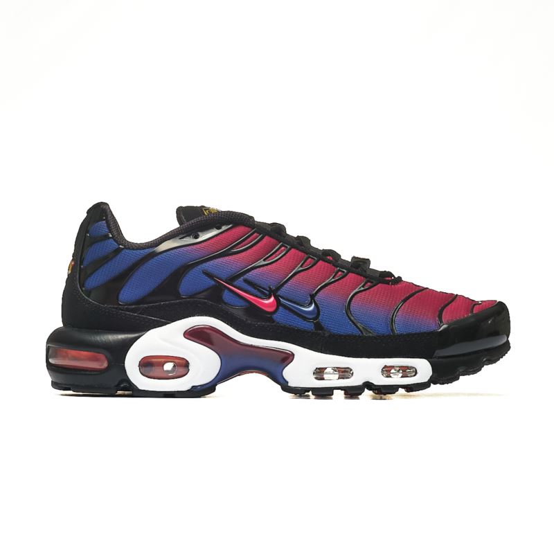 Nike Air Max Plus FN8260-001