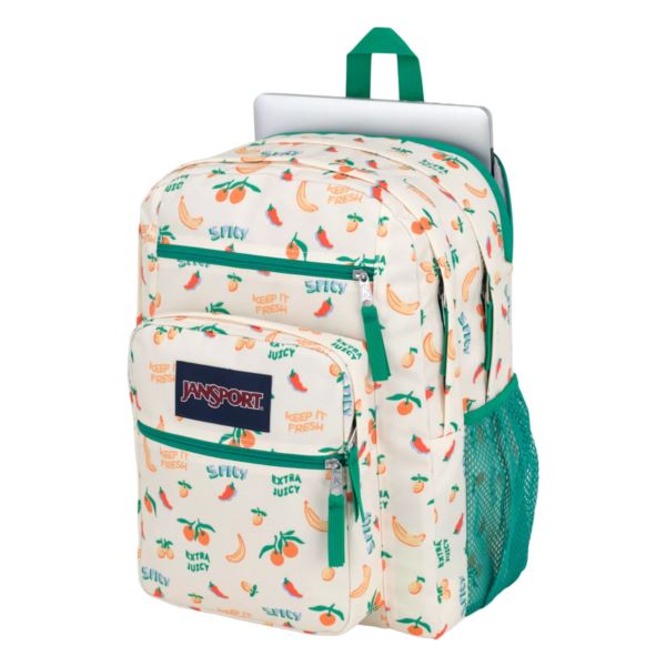 JanSport Big Student FIVE A DAYCREAM