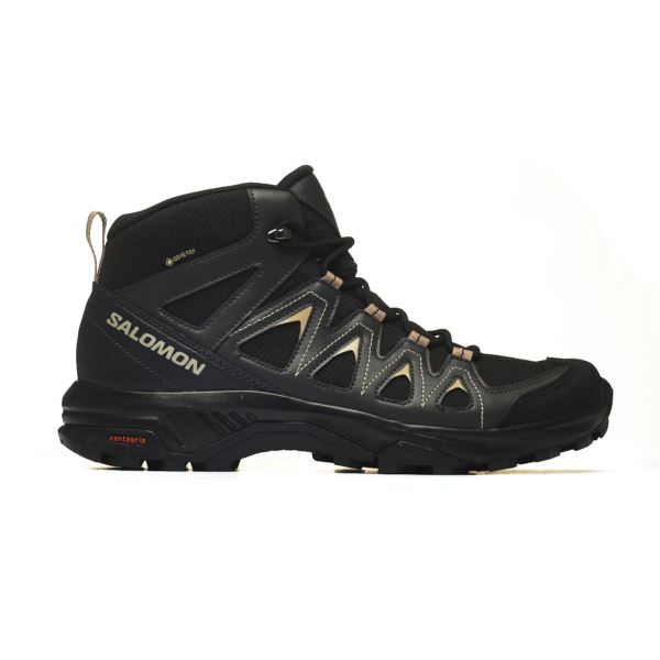 Salomon X BRAZE MID GTX L47174800