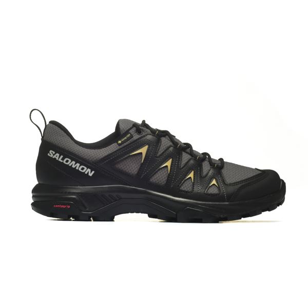 Salomon X BRAZE GTX L47180500