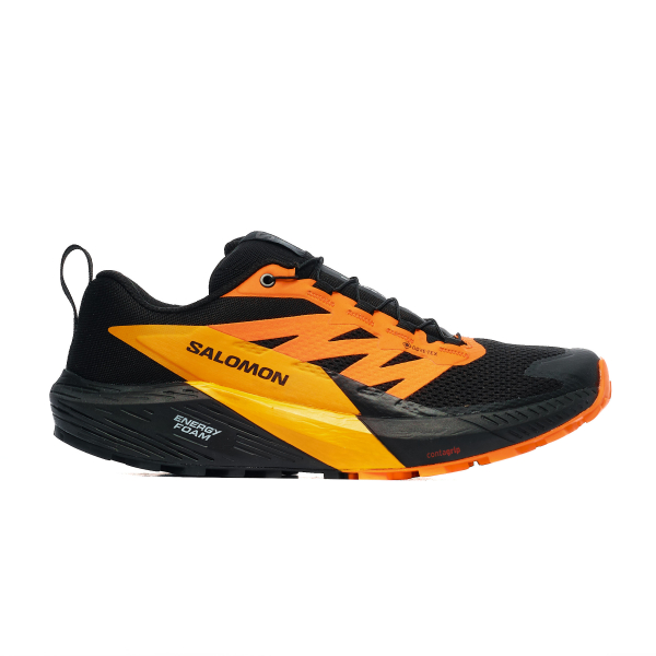 Salomon SENSE RIDE 5 GTX...