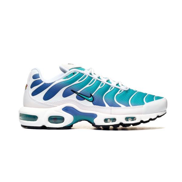 Nike Air Max Plus DM0032-102