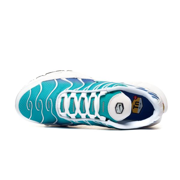 Nike Air Max Plus DM0032-102