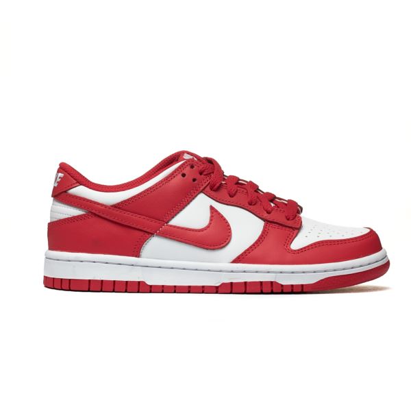 Nike DUNK LOW (GS) FB9109-119