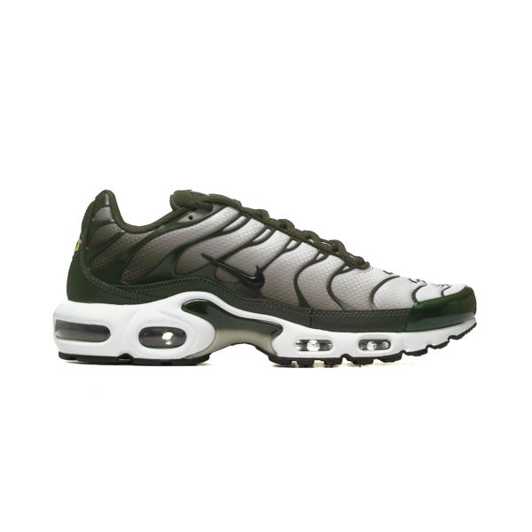 Nike AIR MAX PLUS DM0032-300