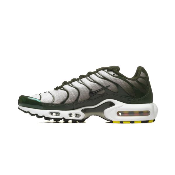 Nike AIR MAX PLUS DM0032-300