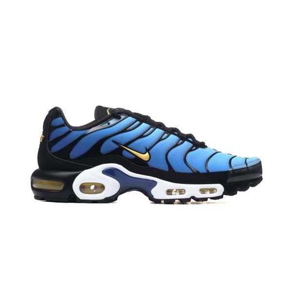 Nike AIR MAX PLUS OG DX0755-001