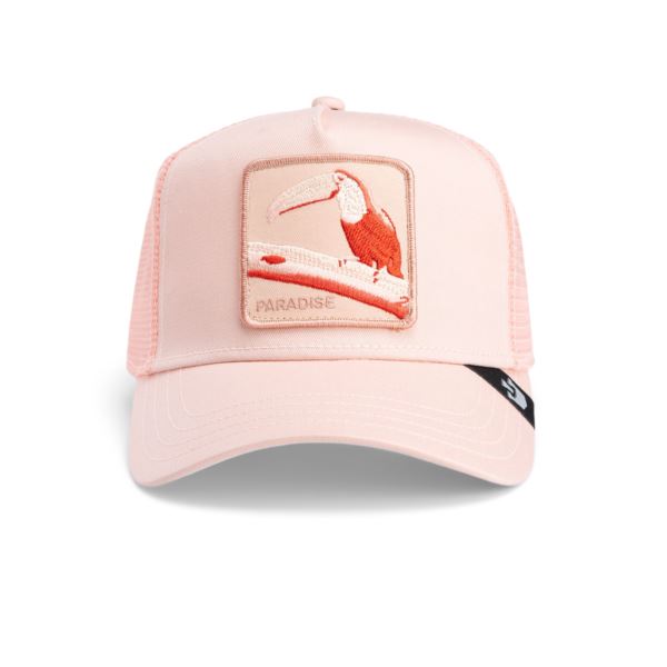 Goorin Bros Toucan Mirage 101-1884-COR