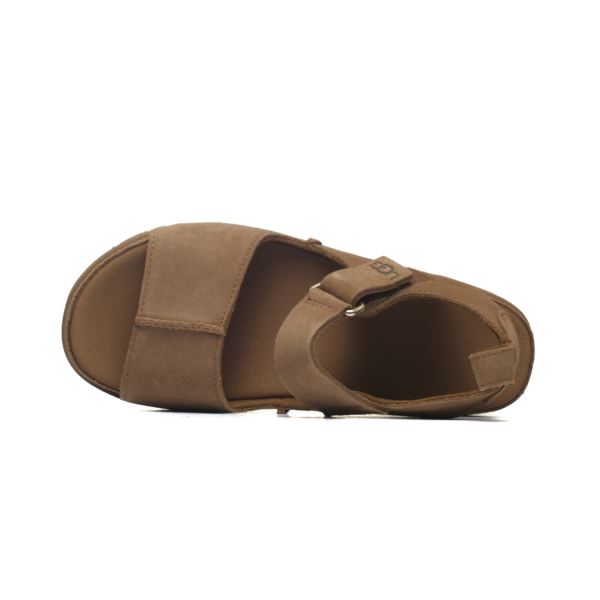 UGG Goldenstar 1167356-CHE