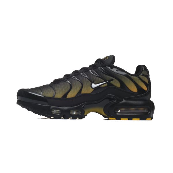 Nike Air Max Plus GS IB2870-001