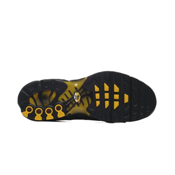 Nike Air Max Plus GS IB2870-001
