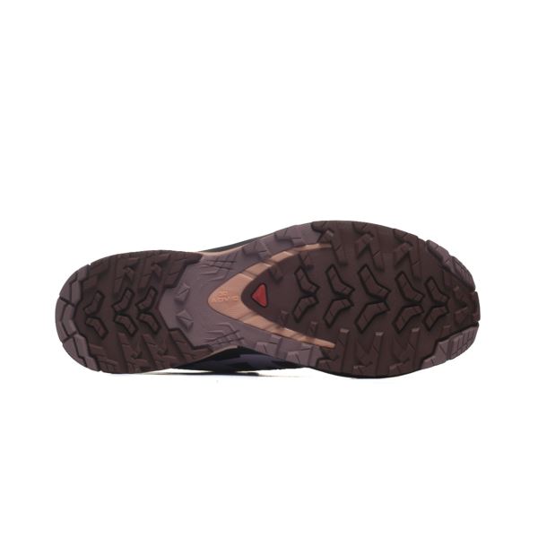 Salomon XA PRO 3D V9 W L47589300