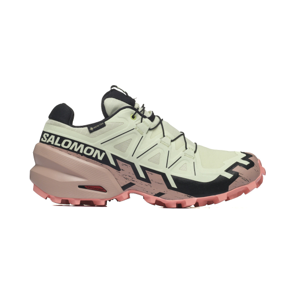 Salomon SPEEDCROSS 6 GTX W...
