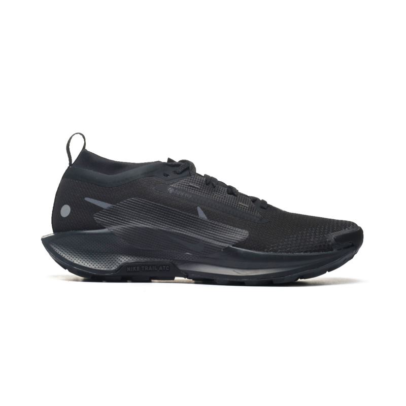 Nike PEGASUS TRAIL 5 GTX FQ0908-002