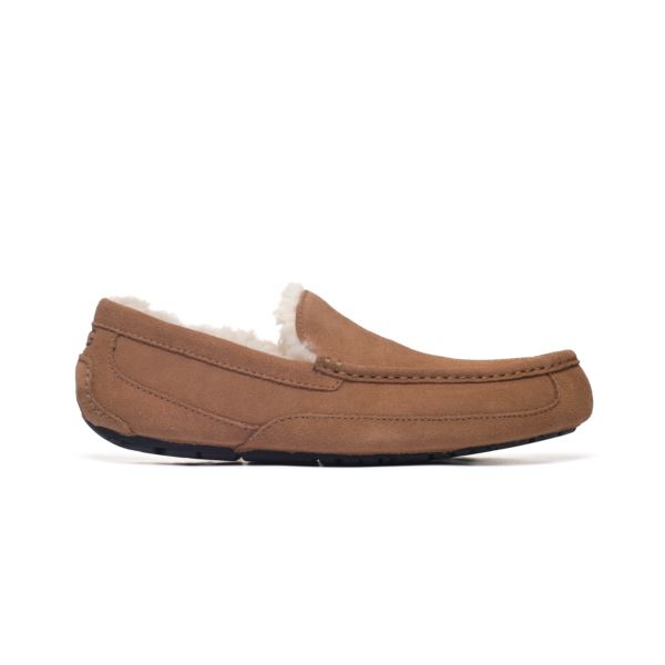 UGG ASCOT CHESTNUT M 1101110-CHE
