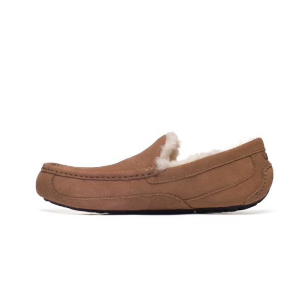 UGG ASCOT CHESTNUT M 1101110-CHE