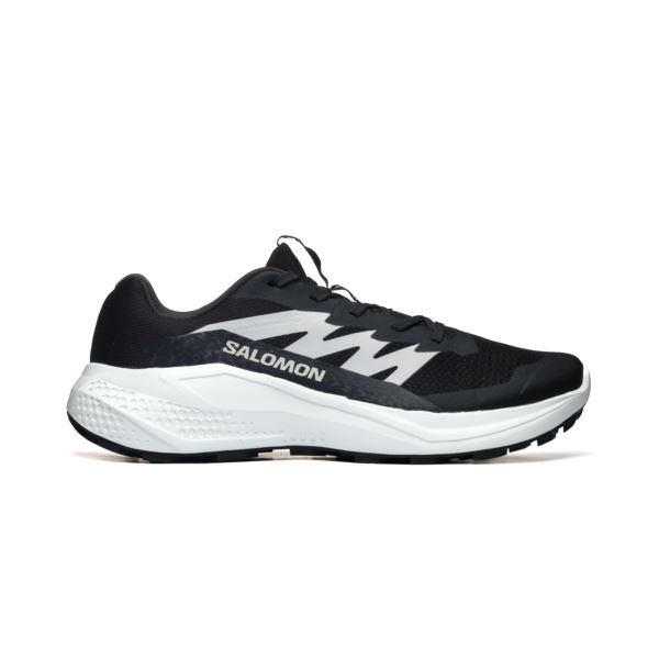 Salomon ALPHAGLIDE L47801000