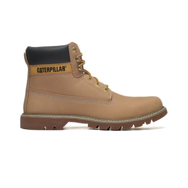 CAT Colorado 2.0 P110428