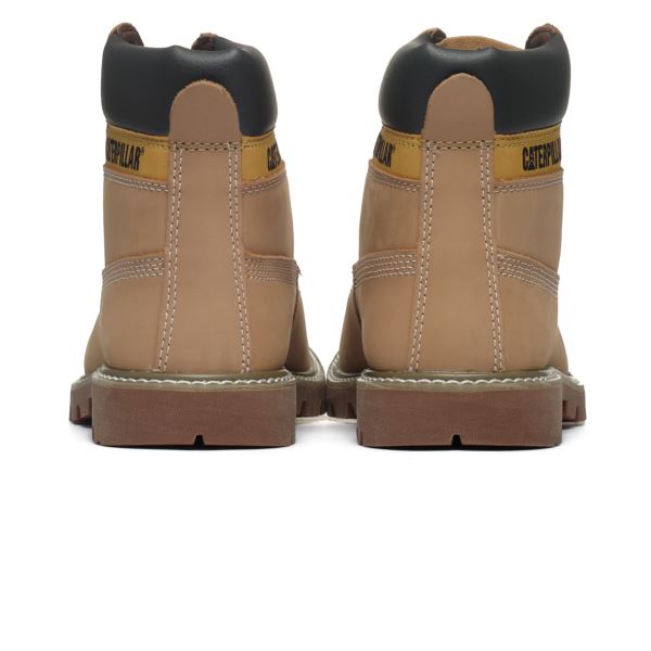 CAT Colorado 2.0 P110428