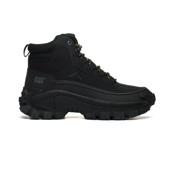 CAT INTRUDER P111559