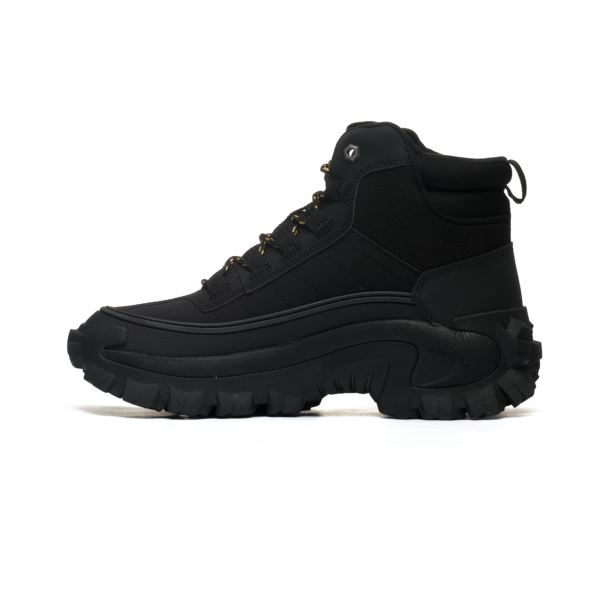 CAT INTRUDER P111559