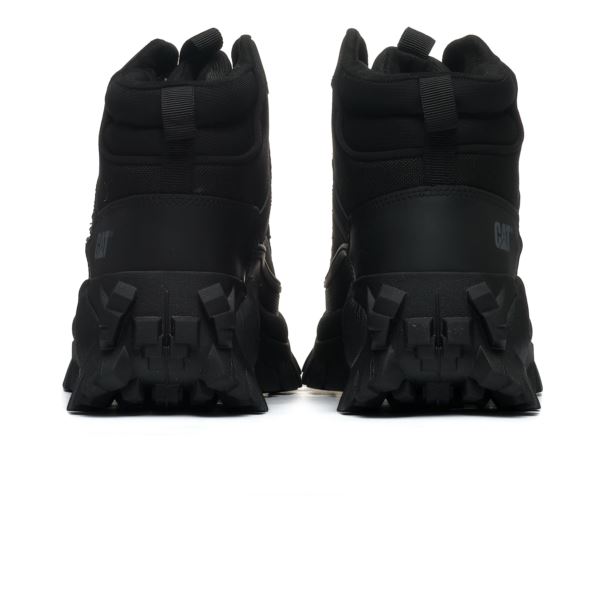 CAT INTRUDER P111559