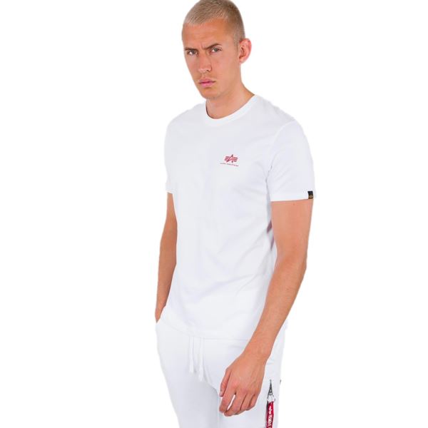 Alpha Industries Backprint T 128507-178