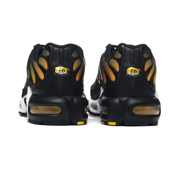 Nike AIR MAX PLUS DM0032-013