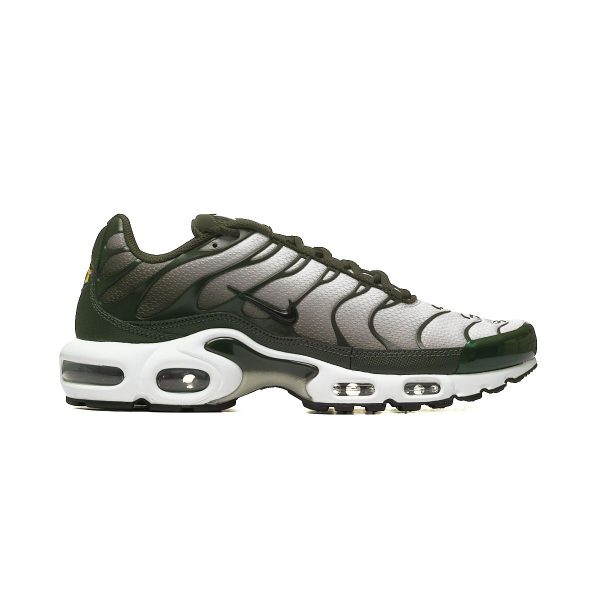 Nike AIR MAX PLUS DM0032-300