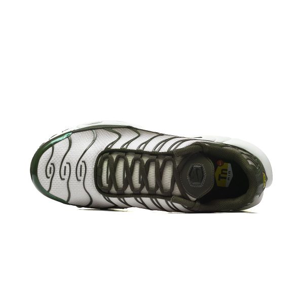 Nike AIR MAX PLUS DM0032-300