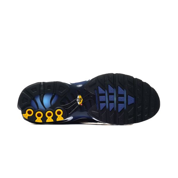 Nike AIR MAX PLUS OG DX0755-001