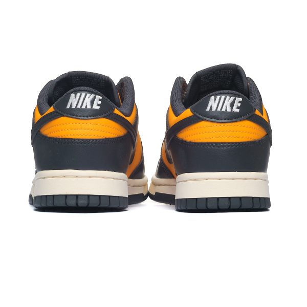 Nike Dunk Low Retro HF5441-700