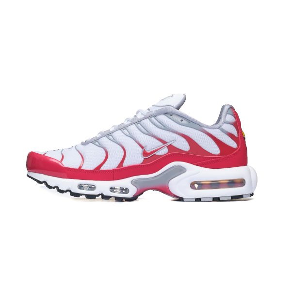 Nike Air Max Plus IF6224-101