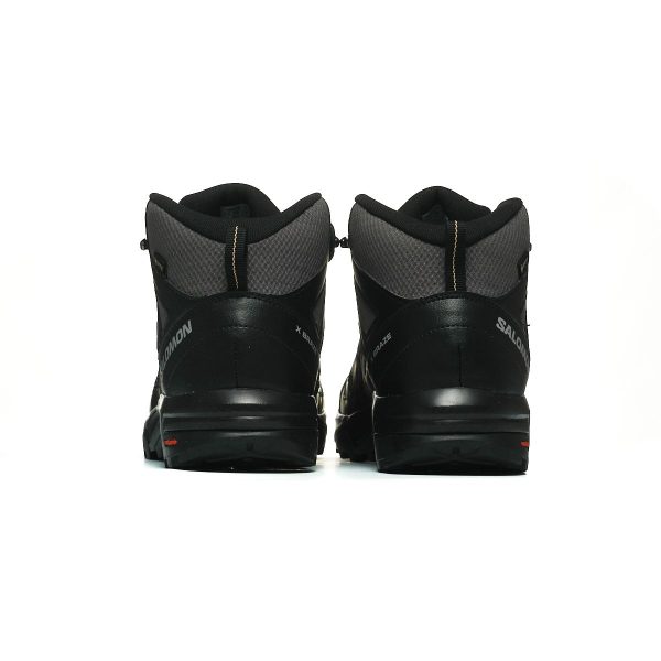 Salomon X BRAZE MID GTX L47430500