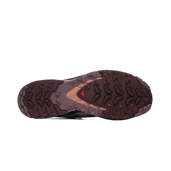 Salomon XA PRO 3D V9 W L47589300