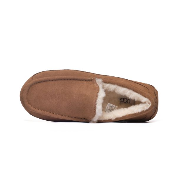 UGG ASCOT CHESTNUT M 1101110-CHE