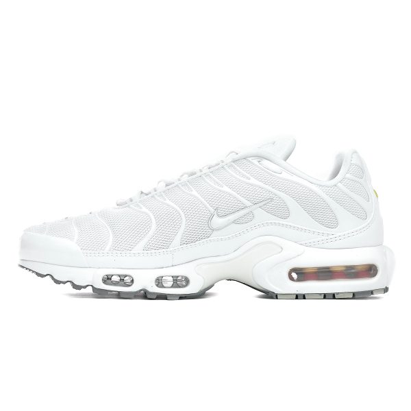 Nike Air Max Plus 604133-139