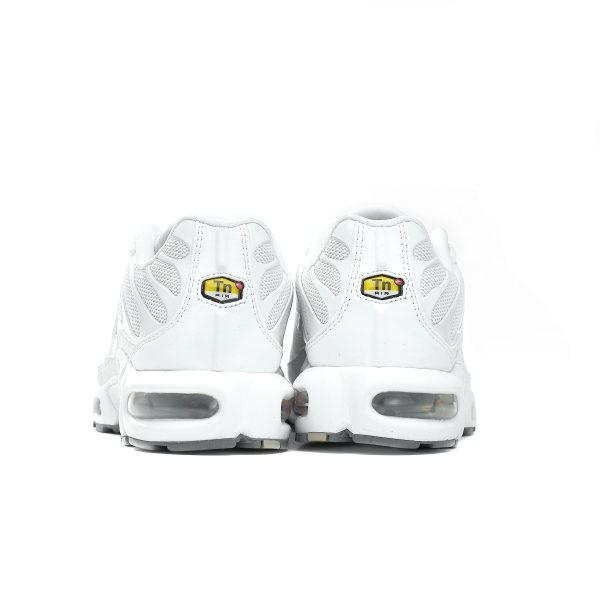 Nike Air Max Plus 604133-139