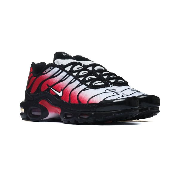 Nike AIR MAX PLUS DM0032-017