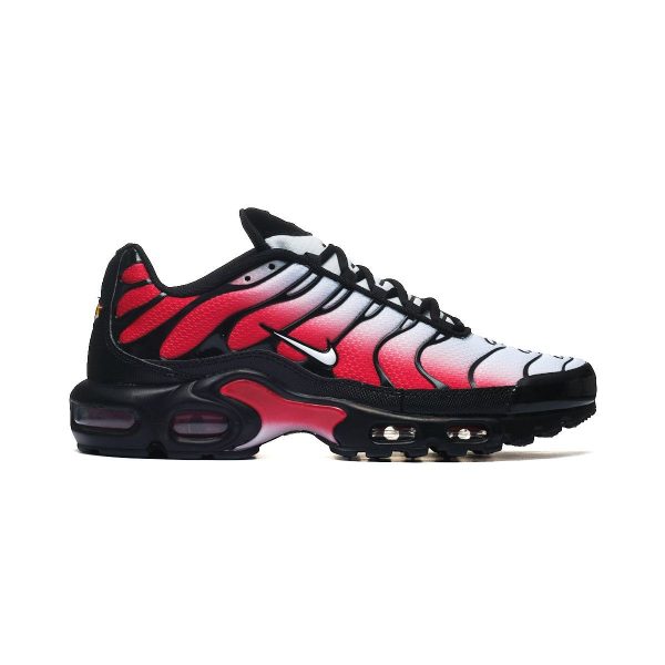 Nike AIR MAX PLUS DM0032-017