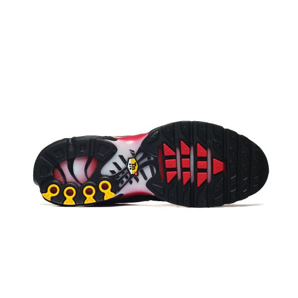 Nike AIR MAX PLUS DM0032-017